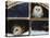 Barn Owls Looking out of a Barn Window Germany-Dietmar Nill-Premier Image Canvas