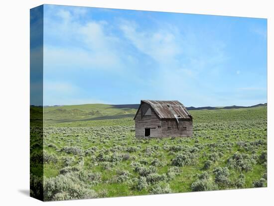 Barn Scene III-James McLoughlin-Premier Image Canvas