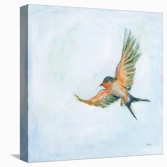 Barn Swallow Flight III-Sue Schlabach-Stretched Canvas