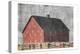 Barn Yard-Sheldon Lewis-Stretched Canvas