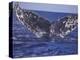 Barnacle-Encrusted Whale Tail-Amos Nachoum-Premier Image Canvas