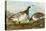 Barnacle Geese-John James Audubon-Premier Image Canvas