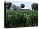 Barns on Farm, Hudson, Illinois, Midwest, USA-Ken Gillham-Premier Image Canvas