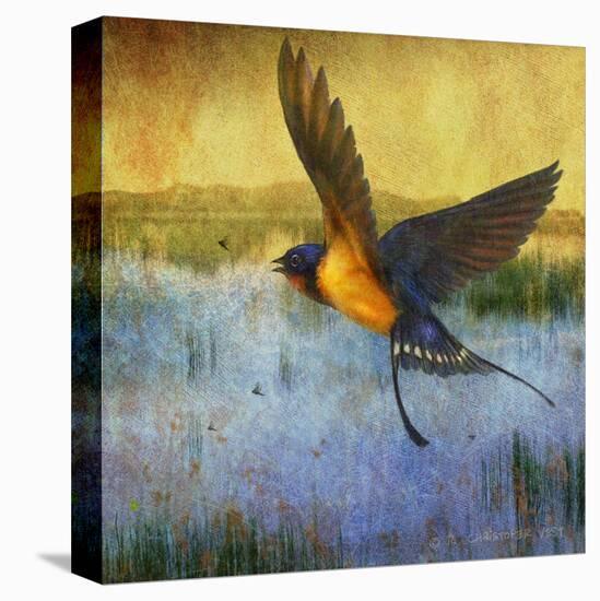 Barnswallow-Chris Vest-Stretched Canvas