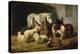 Barnyard, 1860-Arthur Fitzwilliam Tait-Premier Image Canvas
