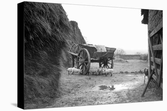 Barnyard Scene in France, Ca. 1935.-Kirn Vintage Stock-Premier Image Canvas