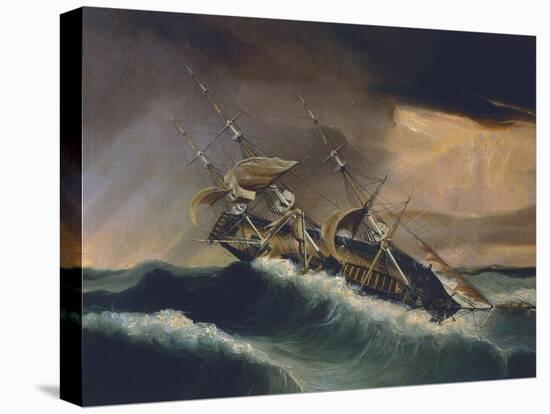 Barquentine Daino-null-Premier Image Canvas