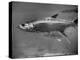 Barracuda Swimming Through the Ocean-null-Premier Image Canvas