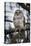Barred owl on perch, United States of America, North America-Ashley Morgan-Premier Image Canvas