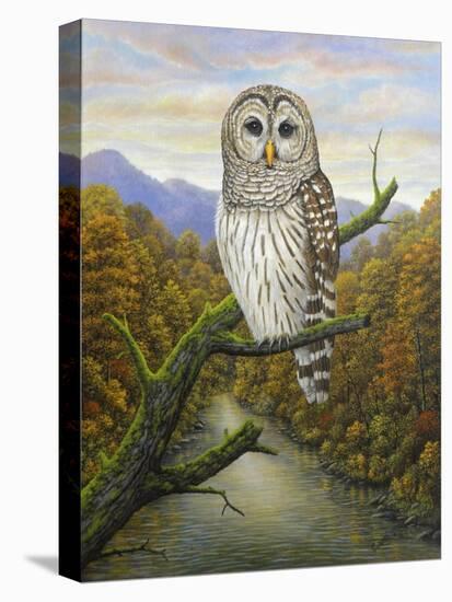 Barred Owl-Robert Wavra-Premier Image Canvas