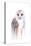 Barred Rainbow Owl-Michelle Faber-Premier Image Canvas