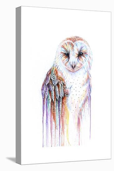 Barred Rainbow Owl-Michelle Faber-Premier Image Canvas