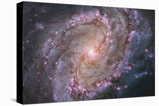 Barred Spiral Galaxy Messier 83-null-Premier Image Canvas