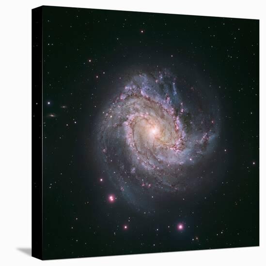 Barred Spiral Galaxy Messier 83-null-Premier Image Canvas