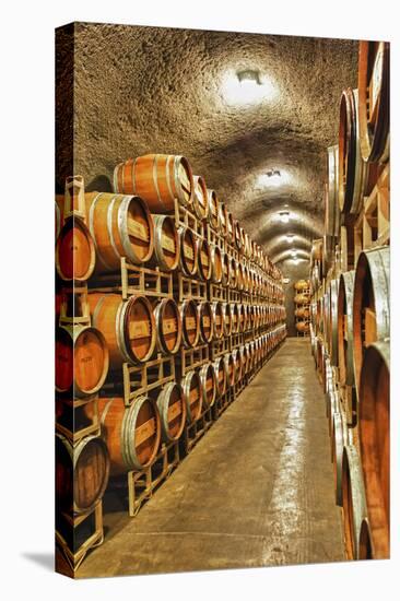 Barrel Cave, Red Mountain Ava, Eastern Yakima Valley, Washington, USA-Richard Duval-Premier Image Canvas