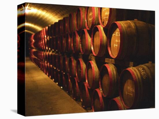 Barrels of Tokaj Wine in Disznoko Cellars, Hungary-Per Karlsson-Premier Image Canvas