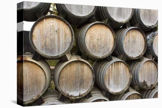 Barrels of wine, Kunde Winery, Sonoma Valley, California-Bill Bachmann-Premier Image Canvas