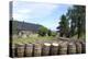 Barrels Waiting to Be Filled, Glenmorangie Distillery, Tain, Scotland-Lynn Seldon-Premier Image Canvas