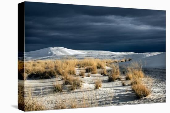 Barren Desert Landscape with Grasses under a Blue Sky-Jody Miller-Premier Image Canvas