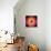 Barry Harris - Bull's Eye!-null-Stretched Canvas displayed on a wall