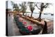 Bars and Restaurants Along Serendipity Beach, Sihanoukville, Cambodia-Micah Wright-Premier Image Canvas