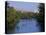 Barton Creek, Austin, Texas, USA-null-Premier Image Canvas