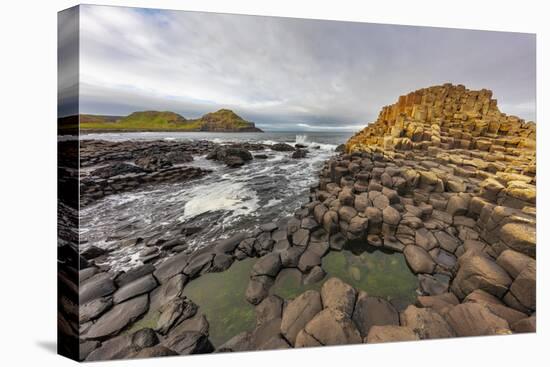 Basalt at the Giant's Causeway near in County Antrim, Northern, Ireland-Chuck Haney-Premier Image Canvas