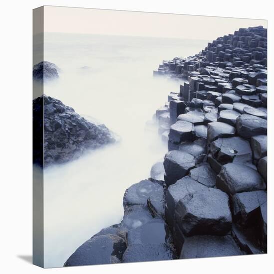 Basalt Columns on Coast-Micha Pawlitzki-Premier Image Canvas
