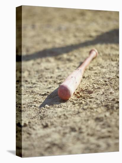 Baseball Bat-Chris Trotman-Premier Image Canvas