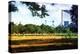 Baseball Game-Philippe Hugonnard-Premier Image Canvas