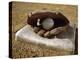 Baseball in a Baseball Glove on a Base-null-Premier Image Canvas