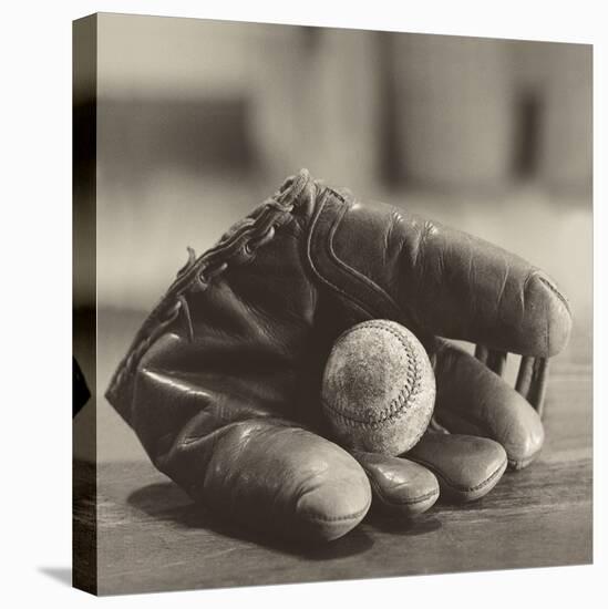 Baseball Nostalgia I-null-Premier Image Canvas