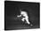 Baseball Player Mickey Mantle-John Dominis-Premier Image Canvas