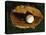 Baseball Still Life-null-Premier Image Canvas