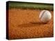 Baseball-Randy Faris-Premier Image Canvas