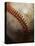 Baseball-Randy Faris-Premier Image Canvas