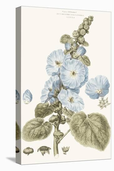 Bashful Blue Florals IV-John Miller-Stretched Canvas