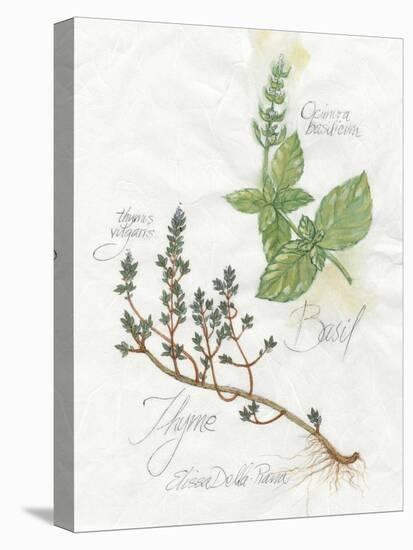 Basil and Thyme-Elissa Della-piana-Stretched Canvas
