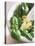 Basil, Garlic and Pine Nuts (Ingredients for Pesto)-null-Premier Image Canvas