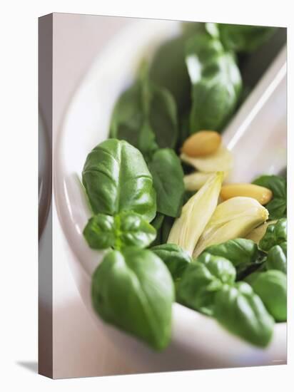 Basil, Garlic and Pine Nuts (Ingredients for Pesto)-null-Premier Image Canvas