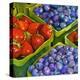 Basket o' Berries-Terri Hill-Premier Image Canvas