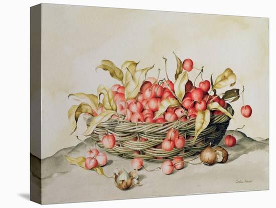 Basket of Cherries, 1998-Amelia Kleiser-Premier Image Canvas