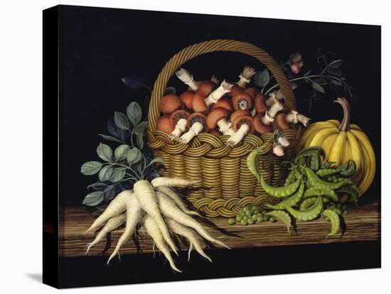 Basket of Mushrooms, 1997-Amelia Kleiser-Premier Image Canvas