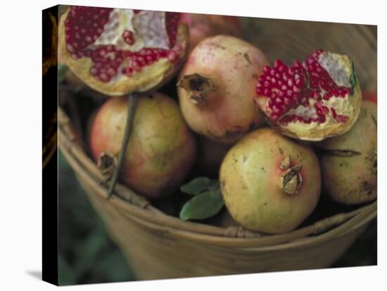 Basket of Pomegranate, Oaxaca, Mexico-Judith Haden-Premier Image Canvas