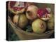 Basket of Pomegranate, Oaxaca, Mexico-Judith Haden-Premier Image Canvas