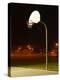 Basketball Net and Court-null-Premier Image Canvas