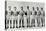 Basketball Team, 1903-null-Premier Image Canvas