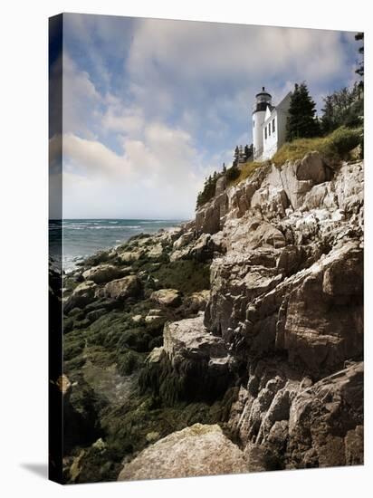 Bass Harbor Head Lighthouse & Foothill-Monte Nagler-Premier Image Canvas