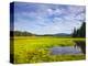 Bass Harbor Marsh in Acadia National Park, Maine, USA-Chuck Haney-Premier Image Canvas