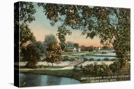 Bass Hatchery, Grand Rapids, Michigan-null-Stretched Canvas